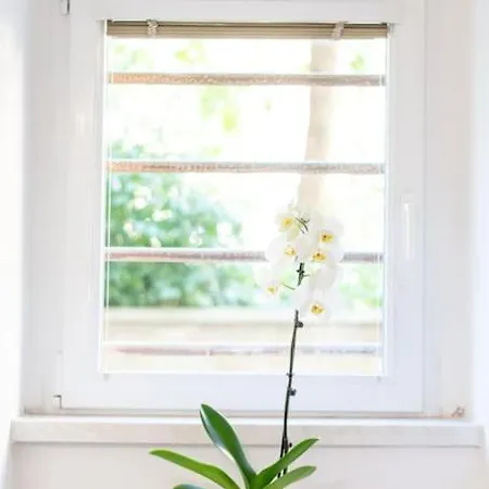 Cozy Basement Flat, Skyshowtime, 3 Minutes To Center *